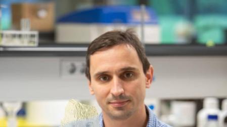 Idean un método para generar plástico biodegradable con residuos de lana