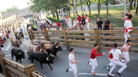 Fotos del encierro, despedida de gigantes, paellada popular y encierro infantil del último día de las fiestas de Tudela 2018, 29 de julio.