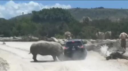 Susto en un safari de México