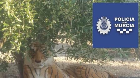 Pánico en un pueblo de Murcia por un tigre de peluche bajo un árbol