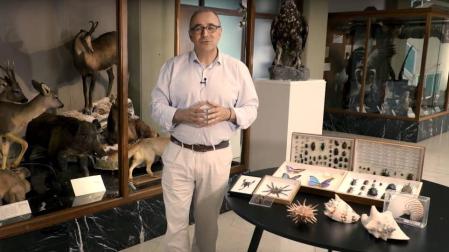 La UN divulgará cada mes un vídeo sobre ciencia "divertido y comprensible"