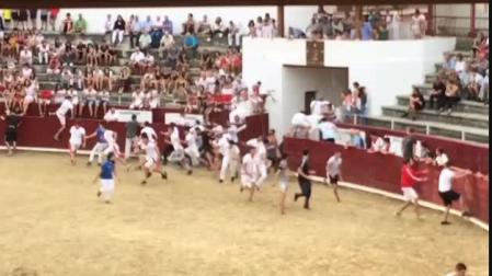 El segundo herido del primer encierro de novillos de Estella