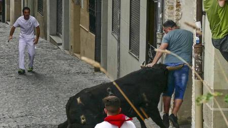 Un mozo ha sido corneado por un novillo que se ha dado la vuelta en el cuarto encierro de las fiestas de Estella