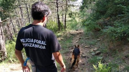 La autopsia al peregrino fallecido en Izco relaciona su muerte con el calor