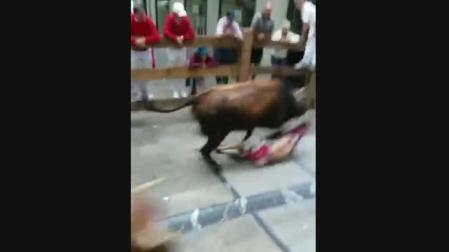 Una vaca arrastra a un mozo enganchándolo de la camiseta en el encierrillo de la última mañana de fiestas de Estella.
