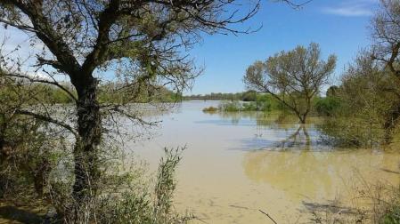 La recta de Arguedas con agua del barranco de Las Limas, cortes en la NA-134 y agua en las Bardenas tras las lluvias del 12 de abril.