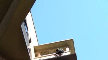 Rescate de un gato "con botas" en Barañáin