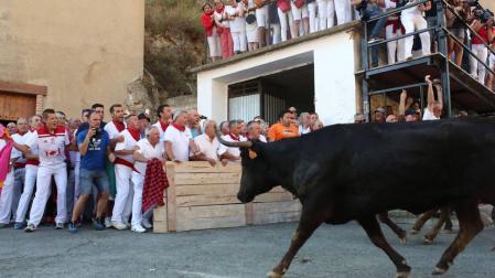 Las de casa completan un segundo encierro del Pilón sin mucha prisa ni heridos