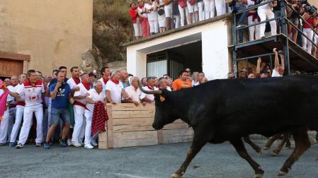 Fotos del segundo encierro del Pilón de Falces