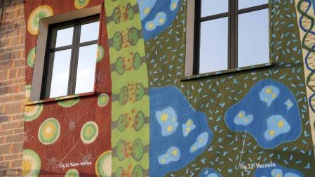 Médico, investigador y premio Nobel, Santiago Ramón y Cajal fue también un artista, con unos dibujos de células neuronales muy fieles a la realidad. Los vecinos de su pueblo y el grafitero Jabier Landa le han homenajeado pintando el hostal