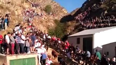 Cuarto encierro del Pilón de fiestas de Falces 2018, 15 de agosto