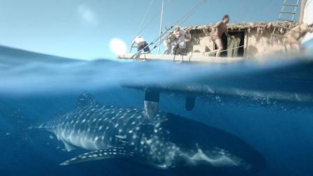 San Francisco acoge este viernes la proyección de la película náutica 'Kon Tiki'