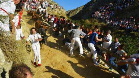 Las vacas de la ganadería Lastur, de Itziar (Guipúzcoa), han protagonizado un cuarto Pilón muy limpio y rápido.
