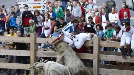 Las vacas de la ganadería Prieto de la Cal, de Huelva, han dejado dos trasladados al CHN, uno por dos cornadas en el muslo derecho.