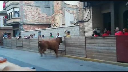 Un toro arranca parte del vallado en Murchante