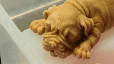 Helados con forma de perro, ¿demasiado realistas para comérselos?