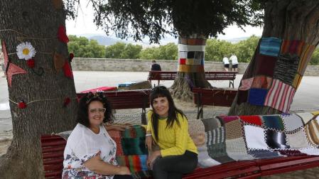 Lanas para vestir los árboles de la ciudad de Pamplona