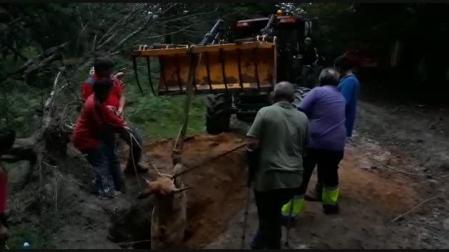 Policía Foral consigue desenterradar a una vaca atrapada en Urbasa