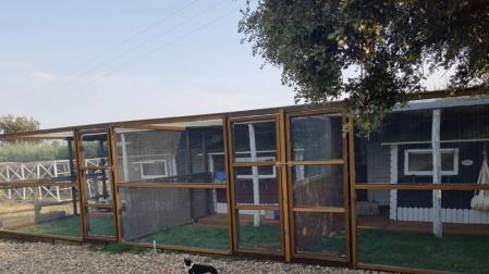 Un hotel exclusivamente para gatos con suites 'de lujo'