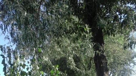 Vecinos hablan de dejadez en algunas zonas de Erripagaña