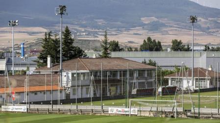 Brotes verdes en Tajonar