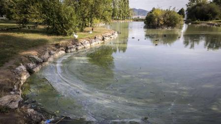 Vecinos denuncian una capa de suciedad en el lago de Mendillorri