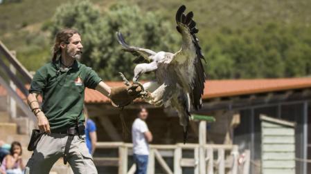 Sendaviva despide el verano con un fin de semana dedicado a los buitres