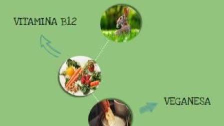 Diccionario vegetariano.