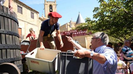 Imágenes de la Fiesta de la Vendimia de Navarra, celebrada en Olite este domingo, 2 de septiembre, y organizada por la Cofradía del Vino de Navarra.