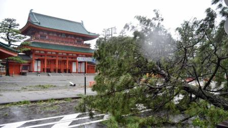 Fotos del tifón más poderoso en llegar a Japón en 25 años.