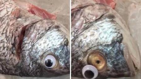 Peces con ojos de plástico en una pescadería de Kuwait.