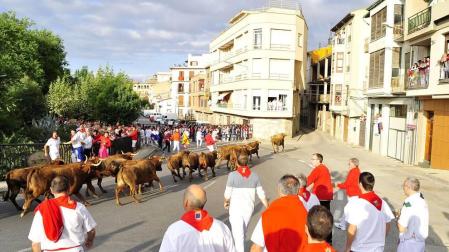 Imágenes de fiestas de Peralta de este viernes, 7 de septiembre, día en el que se ha celebrado el día de las peñas. Los jóvenes han cambiado el atuendo blanco y rojo por los disfraces.