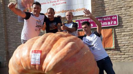 Rubén Mendi vuelve a ganar el Concurso de Calabazas Gigantes de Valtierra