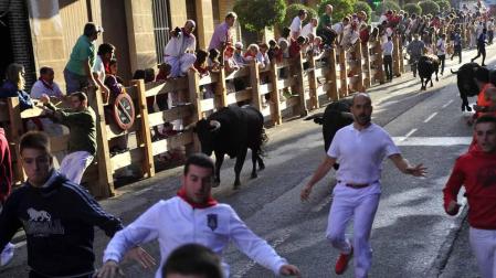 Despedida de gigantes, misa y encierro para poner fin a las fiestas patronales de Peralta