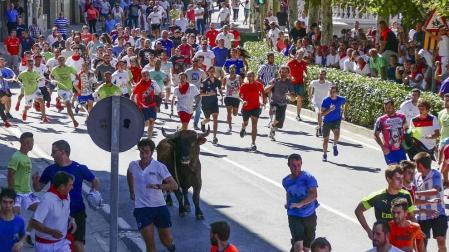 El toro ensogado en una de las jornadas festivas de Lodosa (14 de septiembre)