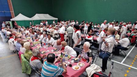Jornada dedicada a los mayores en Zizur Mayor