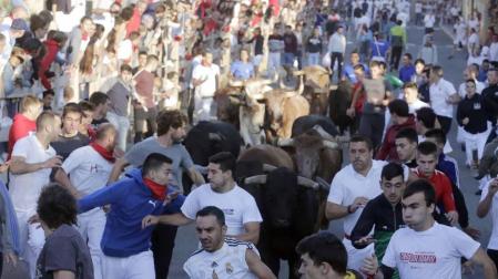 El domingo de fiestas estuvo dedicado a los niños. Sangüesa dio la bienvenida a los nacidos en el último año y hubo ofrenda floral al patrón