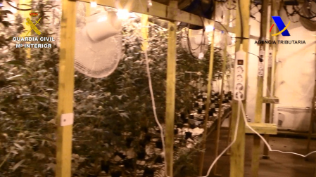 Cuatro detenidos en País Vasco por tráfico y cultivo de droga que vendían en Navarra