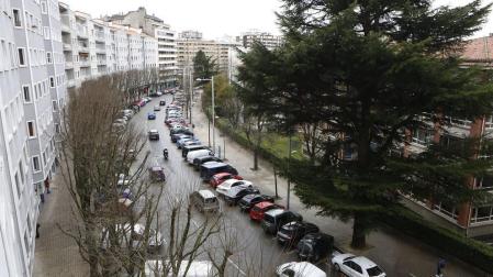 El Ayuntamiento planta árboles en 287 alcorques en el último año