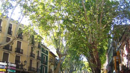 Detenido por abusar de una mujer durante meses tras engañarla con vudú