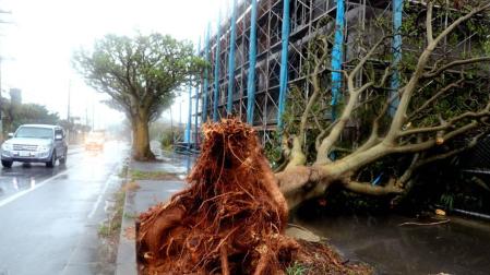 El tifón Trami obliga a cancelar más de 1.000 vuelos a su paso por Japón