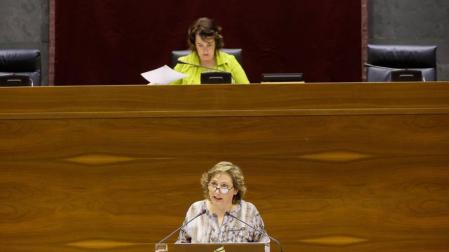 El Parlamento reforma la ley para favorecer el Plan de Inversiones Locales