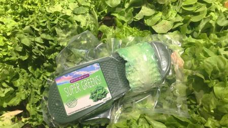 Chanclas veganas con empeine de lechuga por 112 dólares
