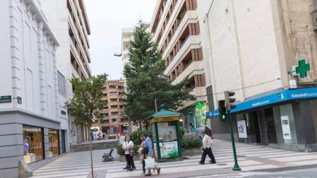 Varios testigos permiten localizar a un conductor que se dio a la fuga tras un atropello