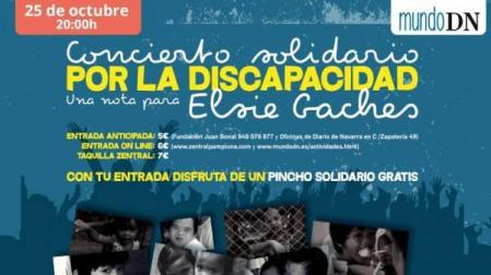 Concierto por la discapacidad y mercadillo en la X Semana de la Solidaridad de Navarra