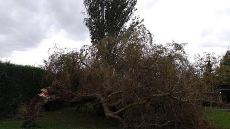 Leslie deja en Navarra las primeras incidencias por rachas de viento que superan los 60 km/h