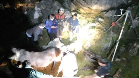 Rescatada una yegua caída en una sima de Aralar de 20 metros de profundidad
