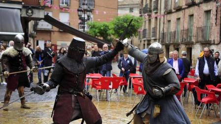Fotos de la feria medieval y del caballo en Marcilla, con combates recreativos medievales y otras actividades.