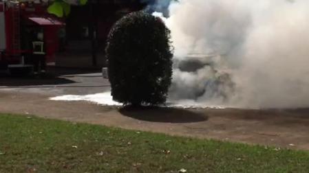 Incendio accidental de un coche en Elizondo (III)