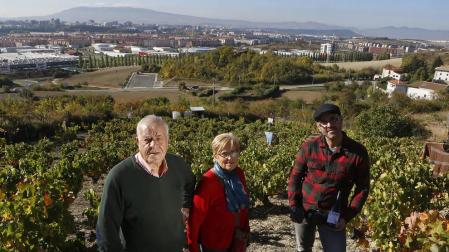 La recuperación de una viña y su caldo en Ansoáin evocan la época del chacolí